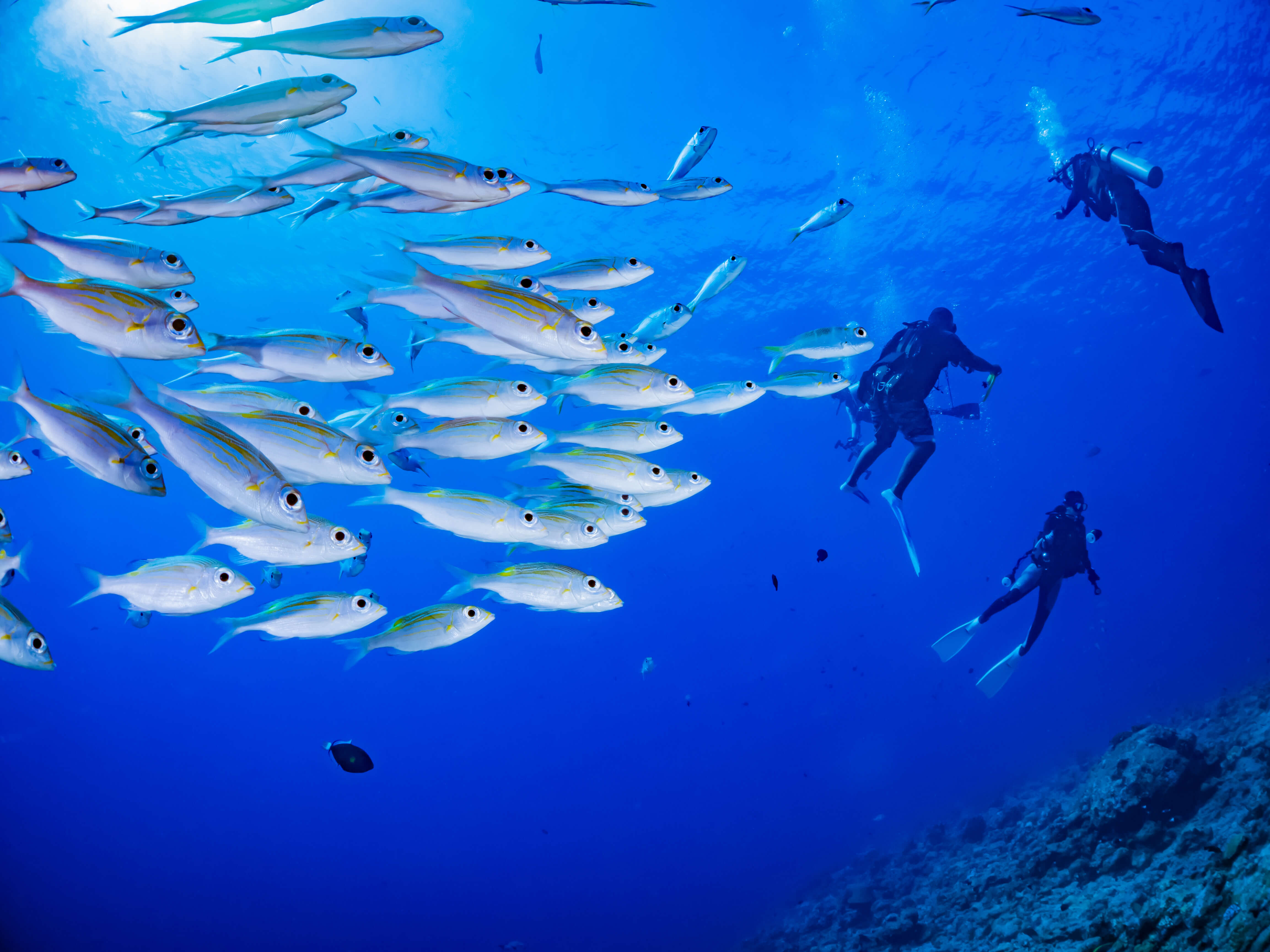 沖縄でできる日本文化の体験